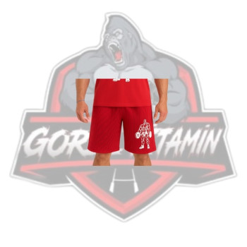 HSPORT ŞORT (RENKLİ)