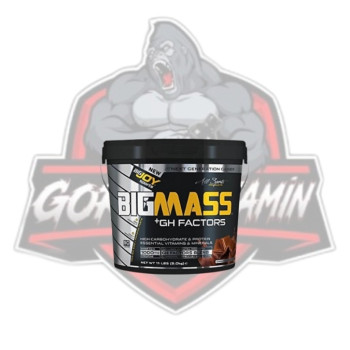 Big Joy Big Mass +GH Factors 5000 Gr