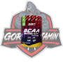 SSN BCAA 4.1.1 + PALATİNOSE 315G