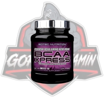 SCİTEC BCAA XPRESS 500G