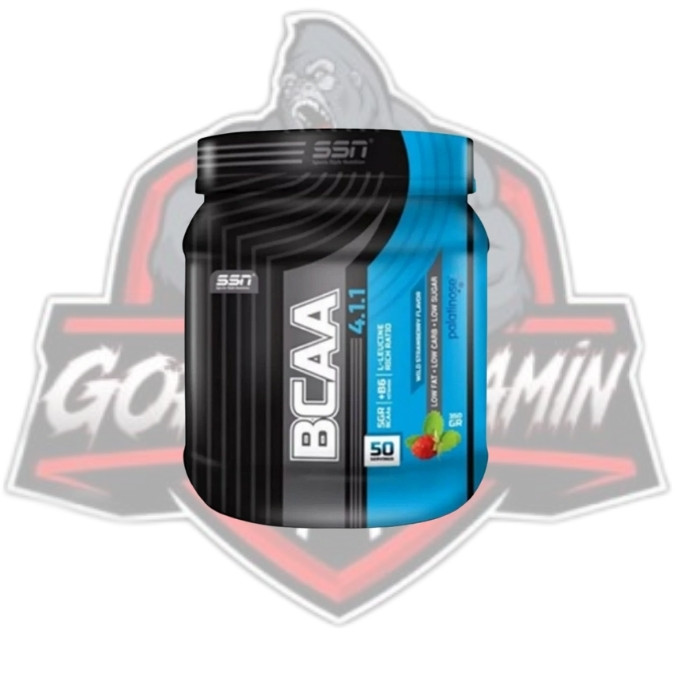 SSN BCAA THERMO KİCK 585G