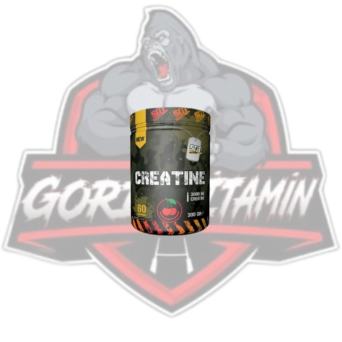 SAT NUTRİTİON CREATİNE 300 GR VİŞNE AROMALI