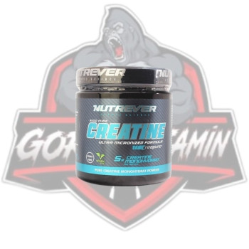 NUTREVER CREATİNE ULTRA MİCRONİZED FORMULA 250 GR NUTREVER CREATİNE ULTRA MİCRONİZED FORMULA 250 GR