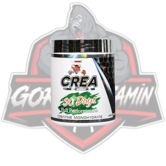 PROTOUCH BİGBANG CREA 30 DAYS CREATİNE MONOHİDRAT 240 GR