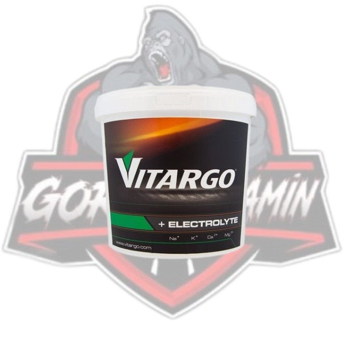 VİTARGO ELECTROLYTE 2000 GR
