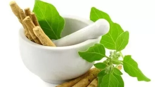 Ashwagandha Nedir? Ashwagandha Faydaları ve Zararları Nelerdir? Ashwagandha Nedir? Ashwagandha Faydaları ve Zararları Nelerdir?
