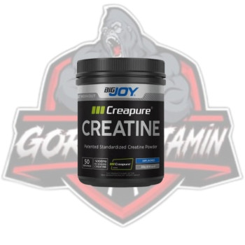 BİGJOY CREAPURE CREATİNE 250 G BİGJOY CREAPURE CREATİNE 250 G