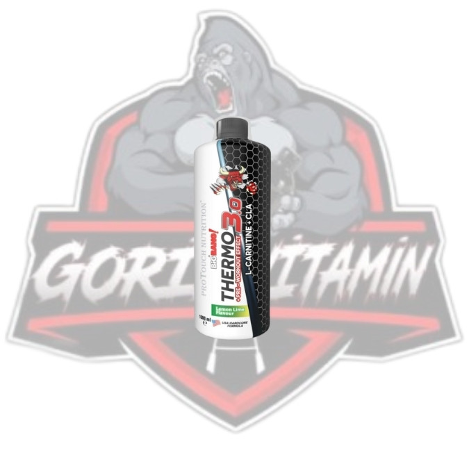 PROTOUCH BİGBANG THERMO 3.0 L-CARNİTİNE+CLA 1000 ML