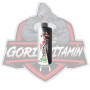 PROTOUCH BİGBANG THERMO 3.0 L-CARNİTİNE+CLA 1000 ML